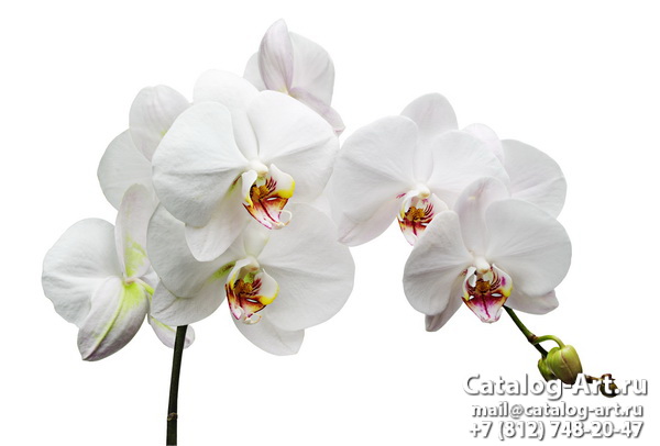картинки для фотопечати на потолках, идеи, фото, образцы - Потолки с фотопечатью - Белые орхидеи 12